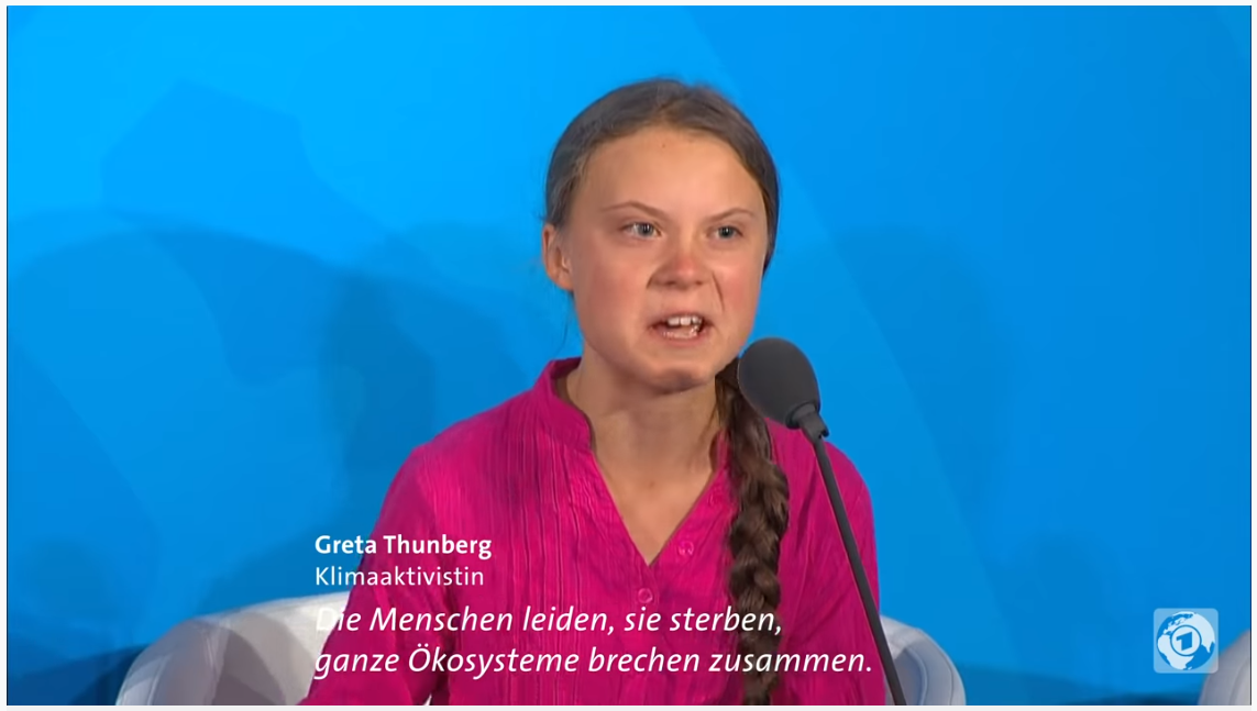 Klimahysterie-Was-ist-nur-los-in-diesem-Land-Kommentar-Andreas-Hoose-GodmodeTrader.de-2